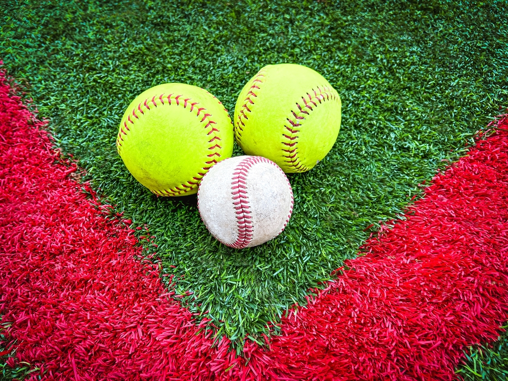 Dog standing on artificial grass - Orion Turf and Landscape