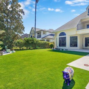 Artficial-turf--landscape-100031