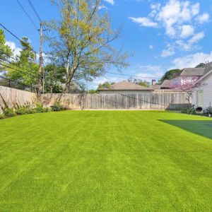 Artficial-turf--landscape-100016