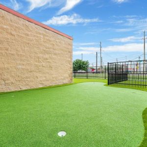 Putting-Greens--Sports-turf-projects-00015