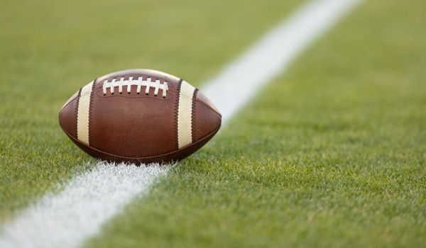 Dog running on artificial grass - Orion Turf and Landscape