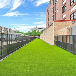 Artficial-turf--landscape-100023