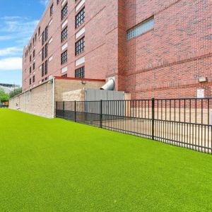 Artficial-turf--landscape-100022